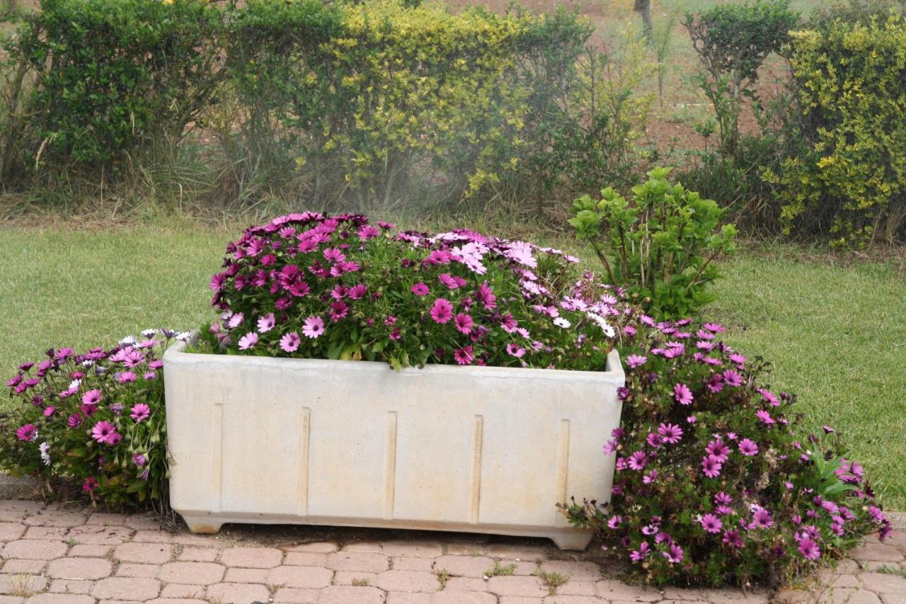 Villa Cabirol Fertilia Luaran gambar
